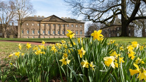 Exterior of the 18th Century Mansion at Nostell in spring with yellow daffodils